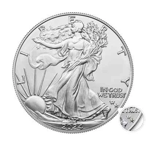 2024 (P) $1 American Silver Eagle Star Privy 1 oz BU - Picture 1 of 4