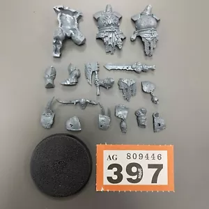 PUTRID BLIGHTKING CHAOS CHAMPION MAGGOTKIN NURGLE SLAVES TO DARKNESS AOS - Picture 1 of 1