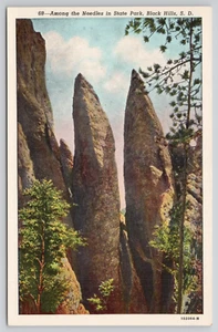 Postkarte Black Hills South Dakota zwischen den Nadeln im State Park  - Bild 1 von 2