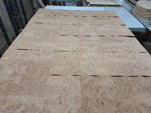 Chapa de madera de roble Burr - 12 láminas de madera natural - 560 mm x 245 mm - Imagen 1 de 6