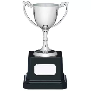 Nickel Plated Cast Cup Presentation Achievement Sports Award FREE ENGRAVING H210 - Picture 1 of 3