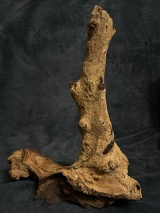 Naturally Sculpted DriftWood One-Of-A-Kind Artifact - Picture 1 of 16