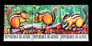 Stamps 1977 Palm Squirrel Wild Animals Guinea Strip of 3 Used - Picture 1 of 2