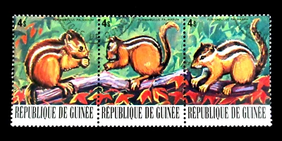Stamps 1977 Palm Squirrel Wild Animals Guinea Strip of 3 Used - Image 1 of 2