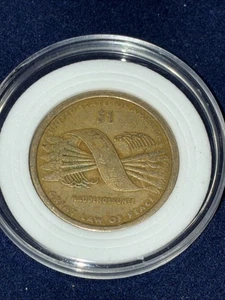 sacagawea dollar coin, Missing Year, Mint Circulated  - Picture 1 of 5