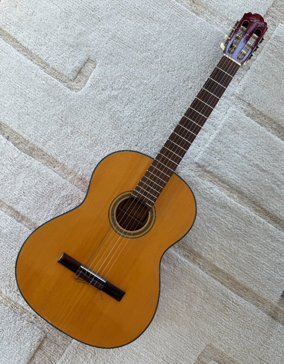 送料込み⭐️新品⭐️Aria Classical Guitars⭐️限定1本入荷 Aria Classical Guitars for sale - eBay