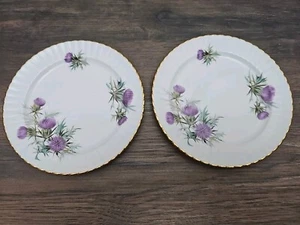 Five Royal Windsor Fine Bone China England Tea Saucer Plate Set - Picture 1 of 4