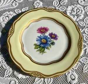 Piatto Woodmere Fiori della First Lady Collezione Dolley Madison”ASTER” - Foto 1 di 6