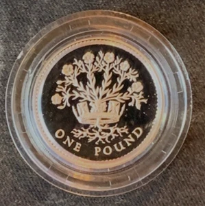 1991 United Kingdom Silver Proof One Pound Coin with case and COA - Picture 1 of 3
