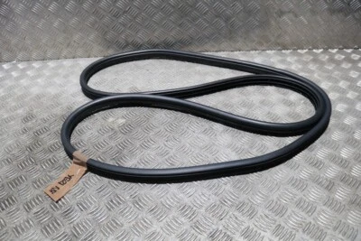 SELLO GOMA PUERTA DELANTERA FORD RANGER MK3 NSF (EN CARROCERÍA) 2016-2022 YG21 Foto 1 de 4