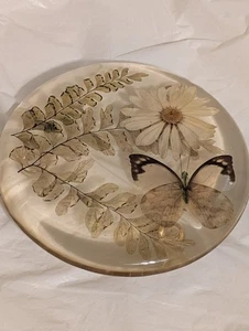 Lucite Dry Daisy Farne Schmetterling Untersetzer Mid Century Modern Vintage 1960er Org. Etikett - Bild 1 von 11