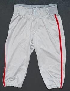 Adidas, Icon Pro Knicker Baseballhose, grau/rot paspeliert. Jugend Medium - Bild 1 von 5