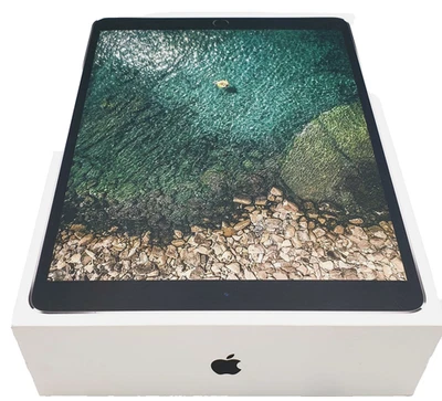 Apple iPad Pro 1. Gen 512GB, Wi-Fi + 4G (Ohne Simlock), 10,5 Zoll - anthrazit - Bild 1 von 4