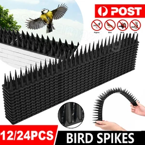 12/24PCS Anti Bird Spikes Human Cat Mouse Pest Control Spiked Fence Deterrent - Picture 1 of 21