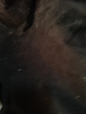 La Chimie De La Conscience - Le Mystère De La Glande Pinéale - Photo 1/4