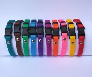 10 Collars. Small size 12-20, Puppy/Kitten Whelping ID Collar identification - Picture 1 of 10