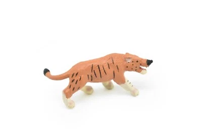 Andrewsarchus, mamífero antiguo F3138 B224 Foto 1 de 4