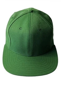 WP Made In USA Kelly Green Baseball Cap Hat Unisex Size 6 3/4 NWOT - Picture 1 of 6