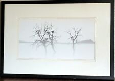 Framed Photo Trees Bird Nests Black and White Wall Hanging Limited Edition Art