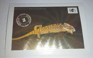 EDEKA WWF Glitzersticker -- # 75 Chamaeleon -- "MIT 180 STICKERN UM DIE WELT" - Bild 1 von 2