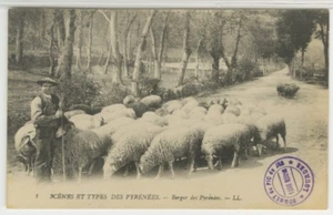 Postal de FRANCIA pastoreo de ovejas en los Pirineos c1910s vintage 05 - Imagen 1 de 2