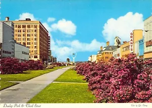 Cartel postal 1973 GA Macon Third Street @ Dunlap Park Grants Store 4x6 C28 - Imagen 1 de 2