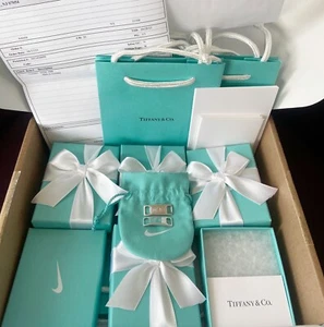100 % authentisch Tiffany & Co. x Nike Air Force 1 Dubrae Sterlingsilber in der Hand - Bild 1 von 6