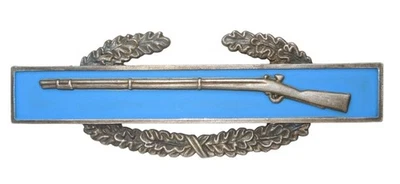 Оригинальный армейский значок на булавке времен Второй мировой войны ТЕАТР ВОЕННЫХ ДЕЙСТВИЙ без маркировки CIB CA6 - Изображение 1 из 2