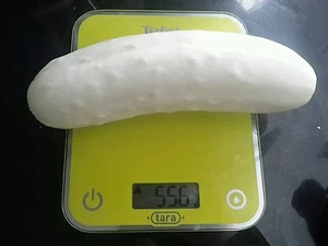☺10 graines de concombre blanc - Picture 1 of 1