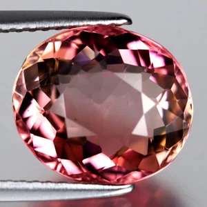 Preciosa piedra preciosa de turmalina rosa de Mozambique de corte ovalado (12 x 10 mm) de 5,09 quilates - Imagen 1 de 2