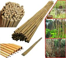Natural Bamboo Canes Thick Stake Garden Plant Flower Support Sticks Can Poles