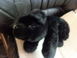 B J  TOYS PURE BLACK PLUSH BEAR BLACK RUBBER NOSE BLACK EYES ANIMAL LOVEY TOY - Picture 1 of 4
