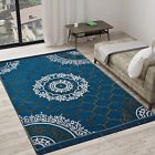 Exclusive Chenille Artificial Flora Living Room Carpet Sky Blue 5 Feet X 7 Feet