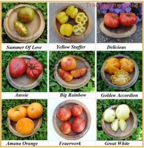 Fleischtomate Set 9 Sorten aus Deutschland. Bis 1kg schwer. Samenfestes Saatgut - Bild 1 von 9