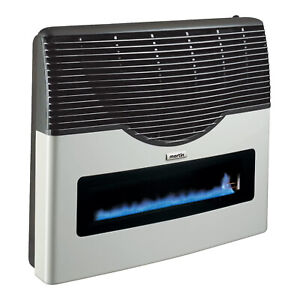 Martin Direct Vent Glass Propane Wall Heater w/ Built In Thermostat, 20,000 BTU