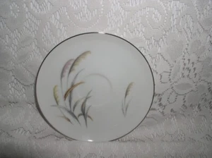Contemporary Ensemble Fine China Japan Autumn 7545 Saucer Cup Plate - Picture 1 of 3