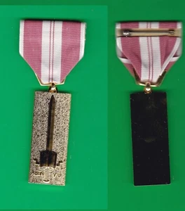 US VIETNAM TRAINING SERVICE 1st CLASS MEDAL - Bild 1 von 1