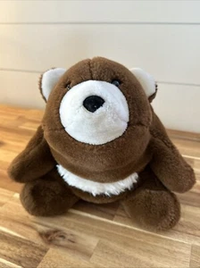 1V) Gund Snuffles Schokoladenbraunbär Stofftier Plüsch Bohnenboden 10 Zoll Vintage 1980 - Bild 1 von 5