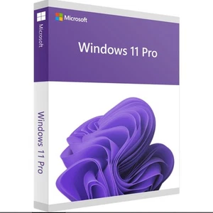 Produktschlüssel KEY für Windows 11 PRO Sofort Versand über Ebay Nachricht - Picture 1 of 1