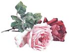 Vintage ImageShabby Klein Pink and Deep Red Roses Waterslide Decals FL281