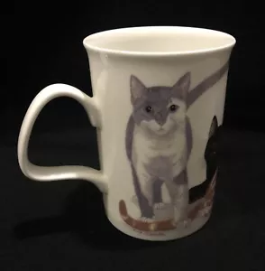 K. M. Hassall Henley Collection Fine Bone China Made in England Cat Mug Cup Cats - Picture 1 of 11