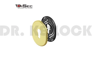 BOCCHETTA PLACCHETTA PLACCA COPERTURA DISEC YALE A CILINDRO PER PORTA BLINDATA  - Picture 1 of 1