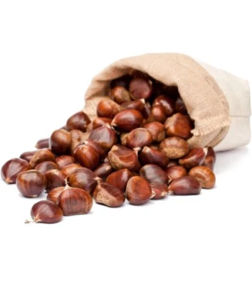 Castañas italianas frescas crudas de primera calidad 3 libras importadas de Italia Foto 1 de 4