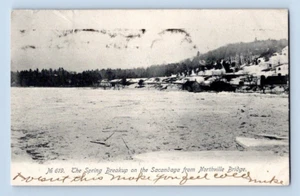 1906. SACANDAGA, NY. FROM NORTHVILLE BRIDGE. POSTCARD FF19 - Picture 1 of 2