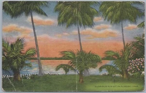 Palmeras y puesta de sol, poema de Florida por William Atwood, postal de lino de los años 30-40 - Imagen 1 de 2