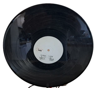 FLYBABY - FIESTA 12'' WHITE LABEL PROMO TERRA FIRMA 1994 TERR6T VINYL VG £16.99 - Imagen 1 de 2