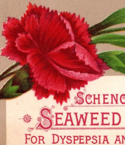 1880s Schenck's Seaweed Tonic Mandrake Pills Pulmonic Syrup Quack Medicine P116