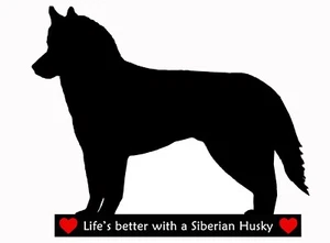 Siberian Husky Hund flexibel trocken abwischbar Kühlschrankmagnet max 11" x 8" und Markierungsstift - Bild 1 von 3
