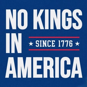 NO KINGS IN AMERICA SINCE 1776🔥DIE CUT Vinyl Sticker 3,5 x 3,5 Inch🔥USA - Bild 1 von 1