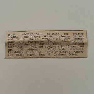 American Chick Farm Chicks Zeeland MI 1940 Racine WI recorte SAH5-S29 - Imagen 1 de 2